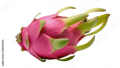 Tableau sur toile Isolated fresh whole dragon fruit, vibrant pink skin and green scales, healthy t