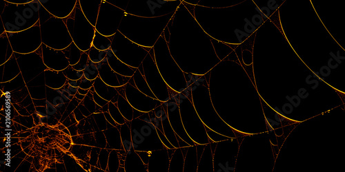 Фотография Intricate Spider Web Glowing in Fiery Gold and Orange Light on a Pitch Black Bac
