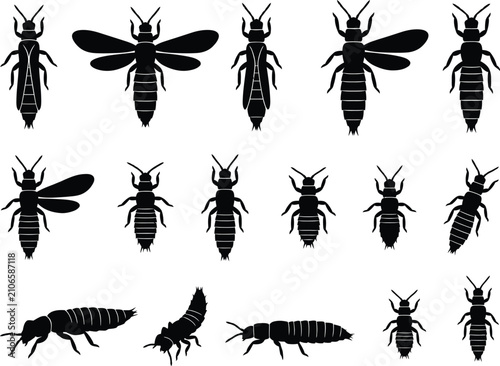 Full Black Water Thrips Insect Vector Silhouette Set Pattern On White Background Illustration