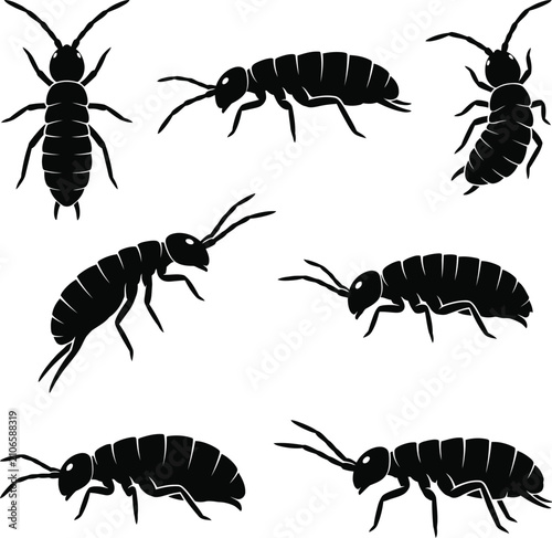 Water Springtail Insect Black Silhouette Pattern Vector Set With Minimal White Background Illustration Design