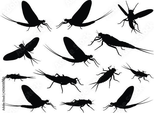 Black Water Mayfly Insect Silhouette Pattern Vector Illustration Set On Clean White Background Design