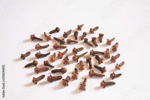 Cloves on white background