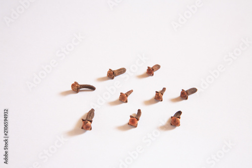 Cloves on white background