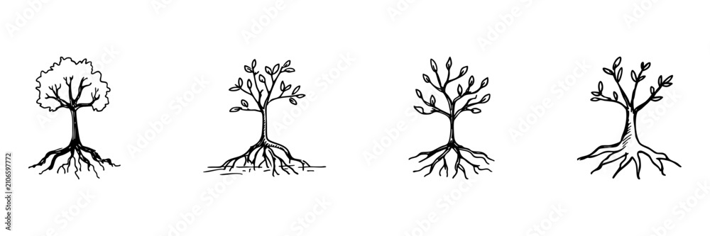 Fototapeta premium Tree Variations In Hand Drawn Style Set. Nature And Growth Doodle Sketch Collection. Botanical For Environmental And Educational Use. Isolated Vector Illustration