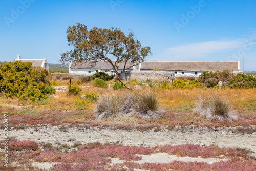 Geelbek, a Historic Dutch  colonial, farmstead on the West Coast