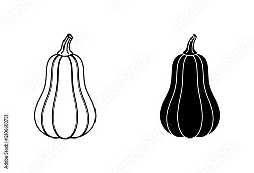 Fotografie Butternut Squash Vector Icons: Outline and Silhouette, Autumn Harvest Food Graph