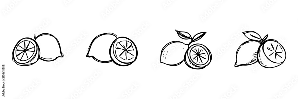 Fototapeta premium Lemon In Hand Drawn Style Set. Citrus Fruit Doodle Sketch Collection. Perfect For Food And Beverage Branding. Isolated Vector Illustration
