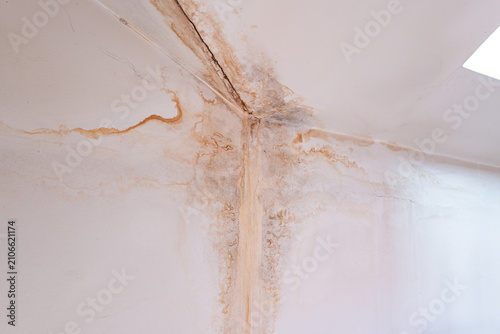 Severe water damage stains and mould growth spreading across room ceiling and wall corner from household roof leak.