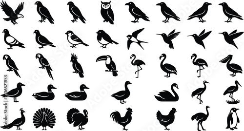 Фотография A collection of various bird silhouettes on a white background
