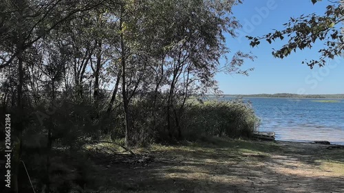 Gentle ripples dance on the lake as vibrant sunlight filters through the leaves. A peaceful spot invites relaxation and reflection amid nature. The beauty of the scenery captivates the spirit.