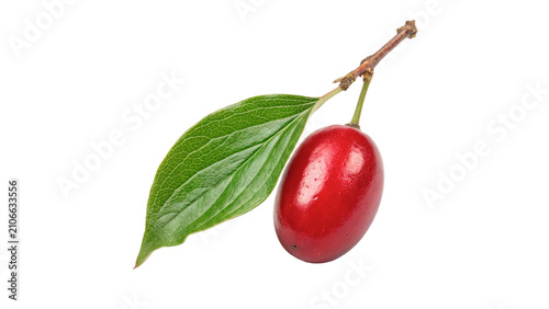 Konstfotografi Single beautiful fresh ripe red cornelian cherry berry isolated on transparent b