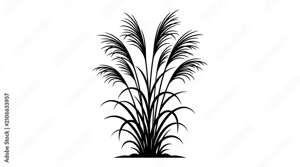 Fototapeta premium Illustration depicting a black silhouette of a full ornamental grass bush with multiple feathery plumes and long leaves, isolated against a clean white background.