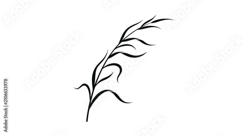Konstfotografi A flowing black illustration portrays a single stem with several elongated, wavy leaves extending outward, suggesting gentle movement, set against a pristine white background