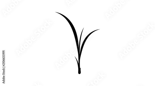 Foto A minimalist black illustration features two slender, curving blades of grass growing upwards from a single point, isolated on a clean white background