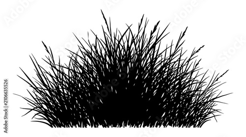 Fotografía CAD tree lines Black silhouette grass Black grass silhouette vector, wild meadow