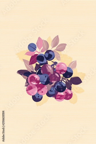 Minimalist Berries Paper Collage Poster, Mid Century Modern Botanical Wall Art, Scandinavian Kitchen Printable