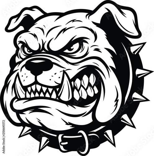 Tableau sur toile Angry bulldog head with spiked collar, fierce aggressive dog mascot, growling pi