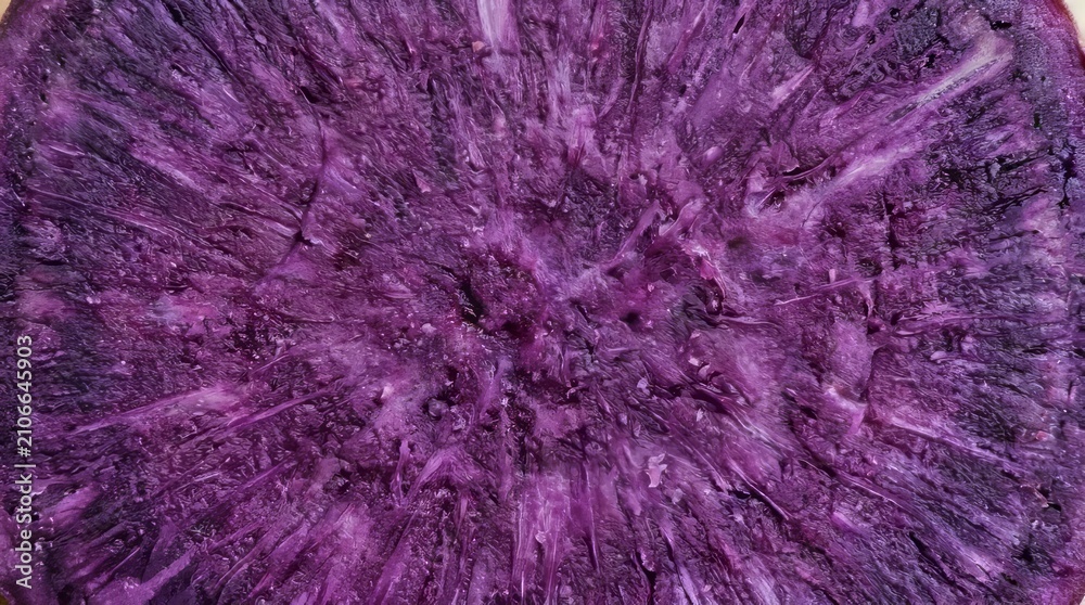 Fototapeta premium Vibrant purple sweet potato cross-section revealing intricate texture and rich color