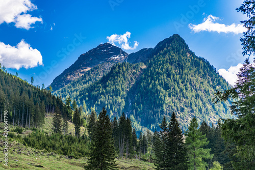 Obraz na plátně Mountain landscape meets untouched nature and colorful meadow
