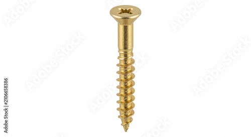 Canvastavla Single brass wood screw with Phillips head and sharp point isolated on white