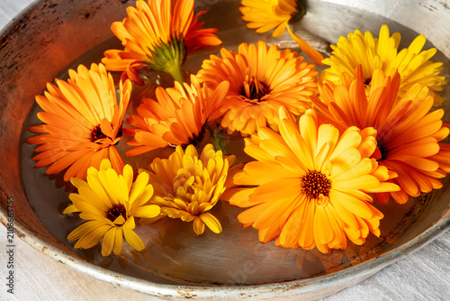 Fresh calendula marigold flowers floating in a bowl of water