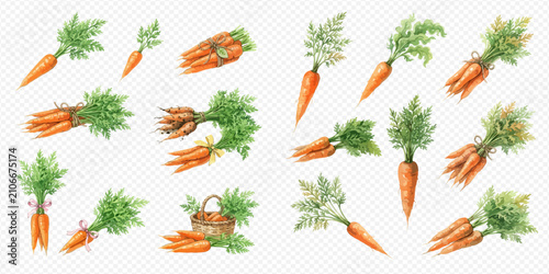 фотографія Fresh organic carrots with green tops, a collection of healthy root vegetables in various arrangements