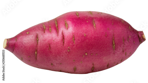 Quadro su tela Isolated whole fresh raw sweet potato with vibrant reddish-purple skin, healthy