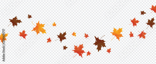 Autumn Maple Leaves Border Isolated on Transparent Background. Fall Foliage Decorative Vector Element