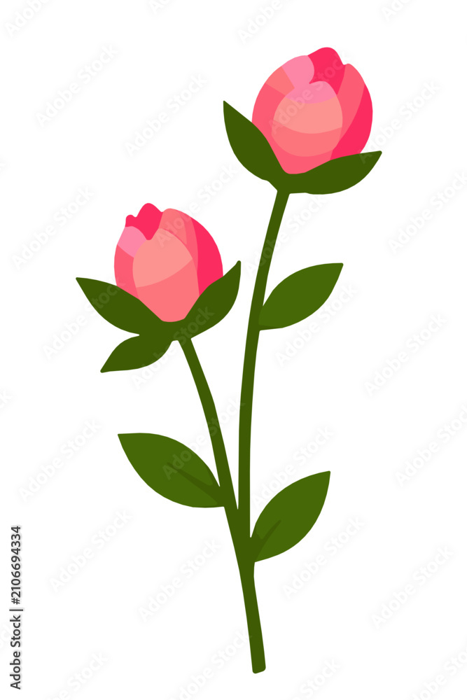 Fototapeta premium Two blush pink peony buds blooming on a slender green stem with fresh leaves, symbolizing spring romance, delicate floral elegance and new beginnings.