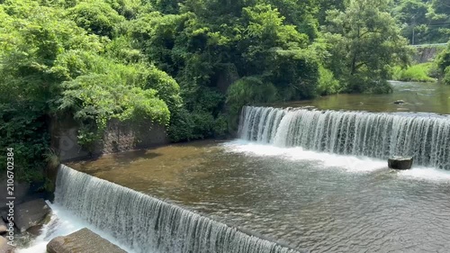 Forest Stream and Waterfall