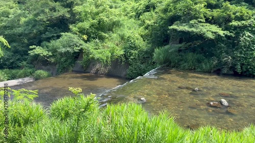 Forest Stream and Waterfall