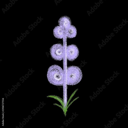 Lavender Flower with Alpha Channel