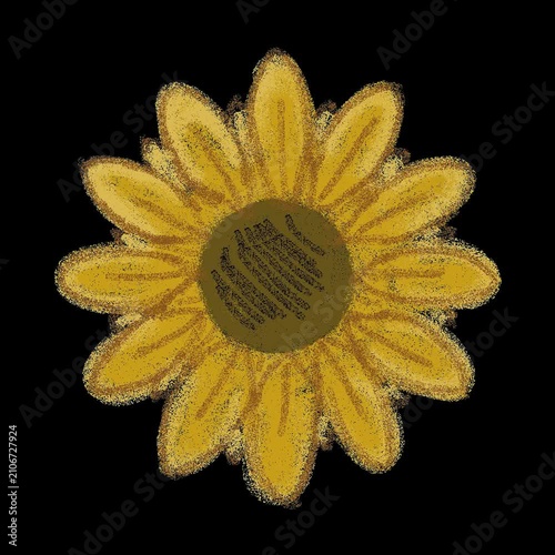 Sunflower with Alpha Channel transparent Background