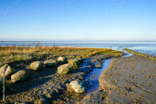 View of the landscape by the beach near Dangast. Coastal nature in North Frisia.
