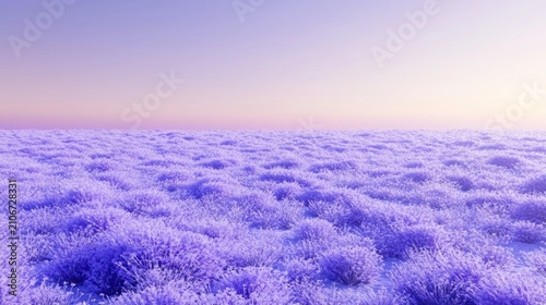 Purple frosted grass field at sunrise.