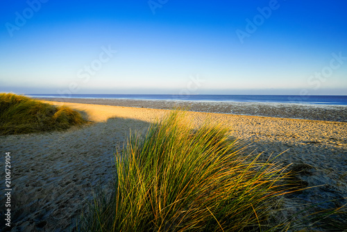 View of the landscape by the beach near Schillig. Coastal nature in North Frisia.
