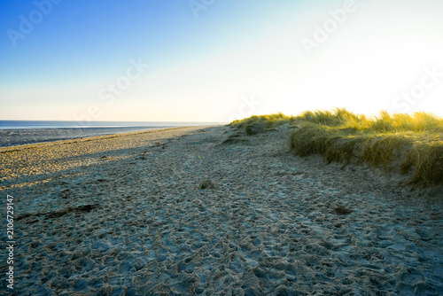 View of the landscape by the beach near Schillig. Coastal nature in North Frisia.
