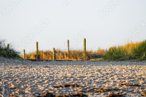 View of the landscape by the beach near Schillig. Coastal nature in North Frisia.

