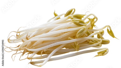 Fotografie Isolated nutritious fresh raw mung bean sprouts pile, healthy vegetarian cooking
