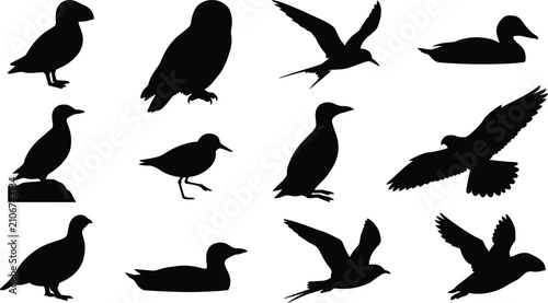 Obraz na płótnie Wild Bird Silhouette Vector Icon Set with Flying Eagle Seagull Duck Puffin Owl a