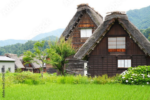 Historic streetscape of Shirakawa-go village with traditional gassho-zukuri houses in Gifu, Japan - 日本 岐阜県 世界遺産 白川郷の伝統的な合掌造りが並ぶ街並み
