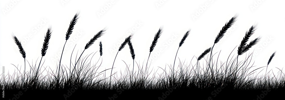 Naklejka premium windswept silhouette of tall grass and wheat stalks with seed heads in a serene black and white minimalist panorama
