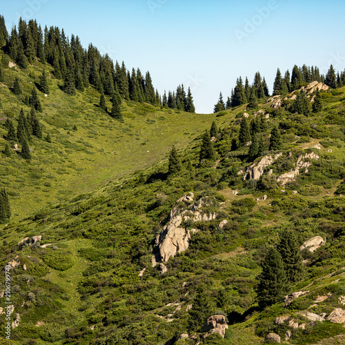 mountain lake in the mountains