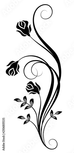 Wave ornament with leaves and abstract lines. Text divider. Decorative element for decor and text greeting or invitation card design.