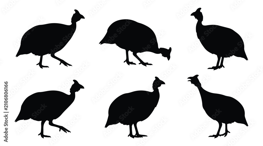 Obraz premium A set of six guinea fowl bird with ducklings in various poses silhouette vector icon illustrations on a white background 