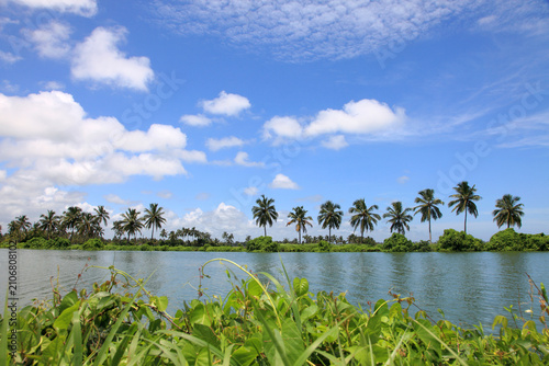 Photos Serene Kerala backwaters lined with lush coconut palms reflected in calm waters