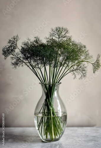 Fresh green dill herb in a ...