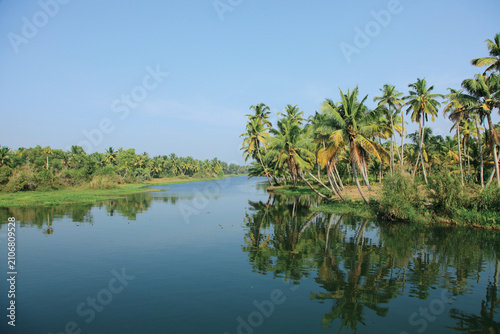 Tableau sur toile Serene Kerala backwaters lined with lush coconut palms reflected in calm waters