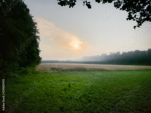 A piece of meadow and forest at sunrise creates a peaceful atmosphere, morning view over the fields near Holler Moor or Wittenmoor in 27798 Hude, Germany