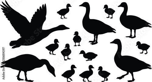 Принти на полотні Goose and duckling silhouettes, waterfowl family, swimming birds, farm poultry,